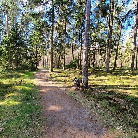 Ferienwohnung Schuberski Lipperreihe Bagian luar foto