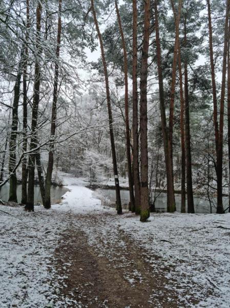 Ferienwohnung Schuberski Lipperreihe Bagian luar foto