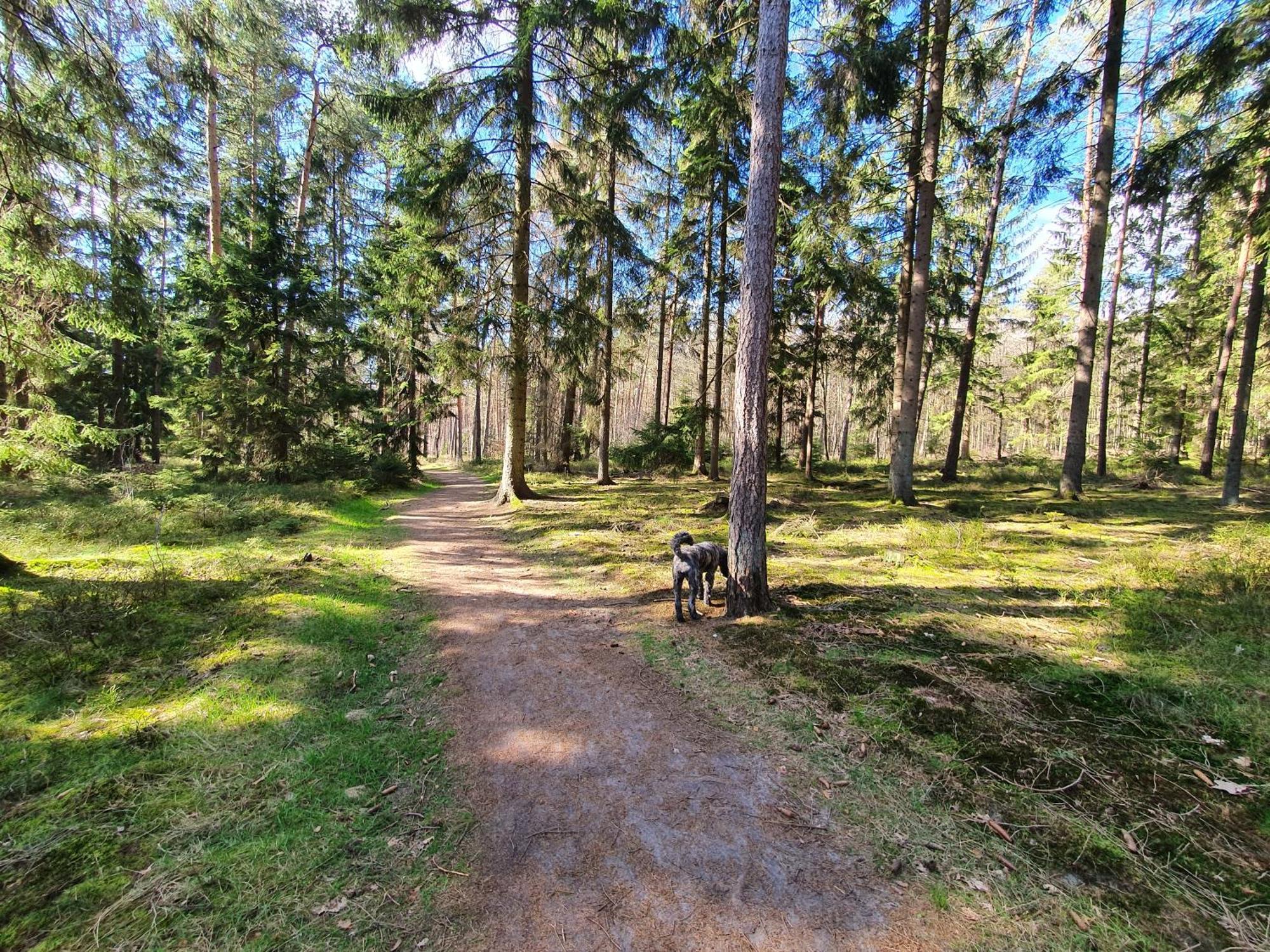 Ferienwohnung Schuberski Lipperreihe Bagian luar foto